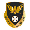 8th Aviation US Army Battalion Patch