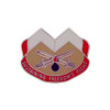 314th US Army Support Battalion Patch