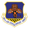 387th Air Expeditionary Group Patch