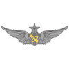 Senior Army Astronaut Badge, US Army Patch