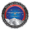 309th Aircraft Maintenance Group Patch