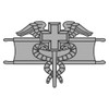 Expert Field Medical Badge, US Army Patch