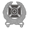 Expert Weapons Qualification Badge, US Army Patch