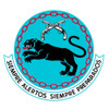 4th Security Forces Squadron Patch