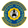 9th Security Forces Squadron Patch