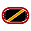 D Company, 3d Squadron, 16th Cavalry Regiment (Beret Flash and Background Trimming), US Army Patch