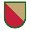 528th Support Battalion (Beret Flash and Background Trimming), US Army Patch