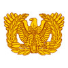 Warrant Officer's Collar Insignia (Branch Insignia), US Army Patch