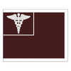 Troop Commands and Medical Brigades of Medical Centers (Distinguishing Flags and Organizational Colors), US Army Patch