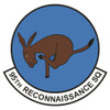 95th Reconnaissance Squadron Patch