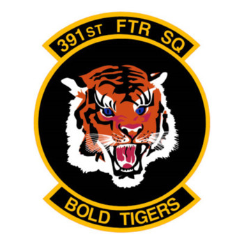 391st Fighter Squadron Patch