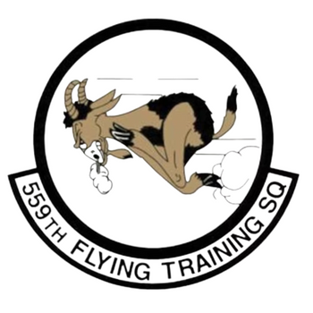 559th Flying Training Squadron Patch