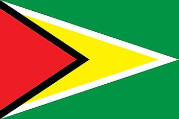 Guyana Flag Patch