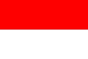 Indonesia Flag Patch