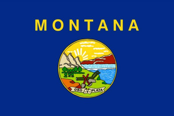 Montana State Flag Patch