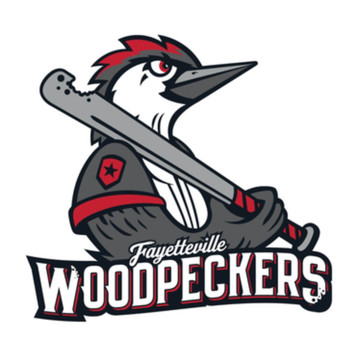 Fayetteville Woodpeckers Patch