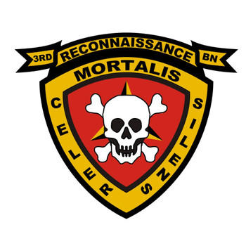 3rd Reconnaissance Battalion, USMC Patch