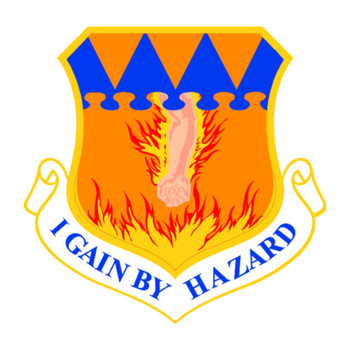 317th Airlift Wing Patch