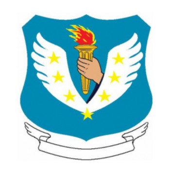 811th Air Base Group Patch