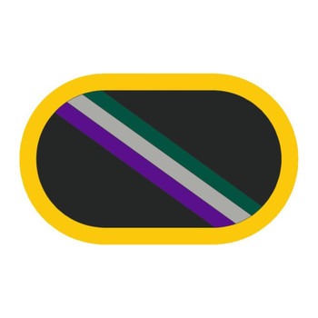 Special Warfare Noncommissioned Officer Academy (Beret Flash and Background Trimming), US Army Patch