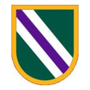 96 Civil Affairs Battalion (Beret Flash and Background Trimming), US Army Patch