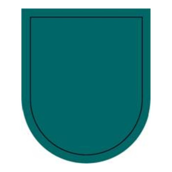 19th Special Forces Group (Beret Flash and Background Trimming), US Army Patch
