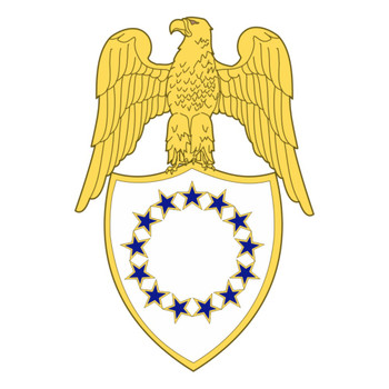 Aide, Vice President of the United States (Branch Insignia), US Army Patch