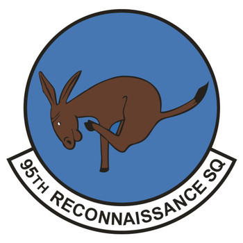 95th Reconnaissance Squadron Patch