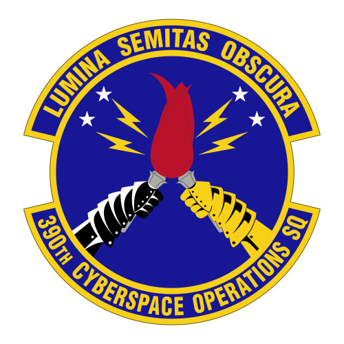 390th Cyberspace Operations Squadron Patch