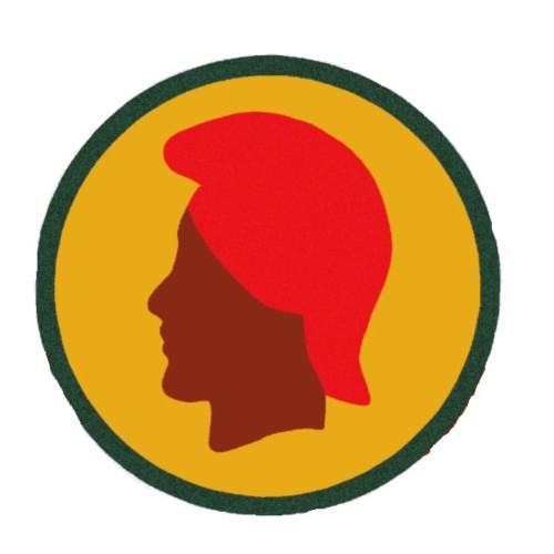 Hawaii Army National Guard Element, Joint Force Headquarters Patch