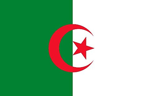 Algeria Flag Patch