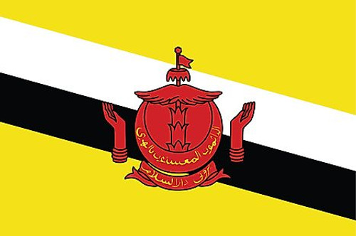 Brunei Flag Patch