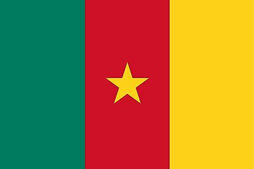 Cameroon Flag Patch