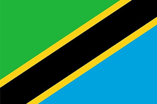 Tanzania Flag Patch