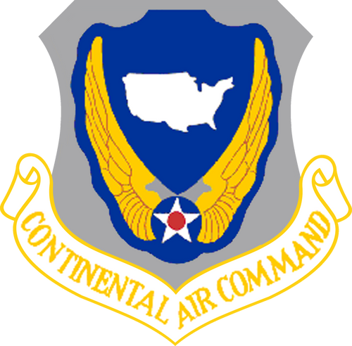 Continental Air Command Patch