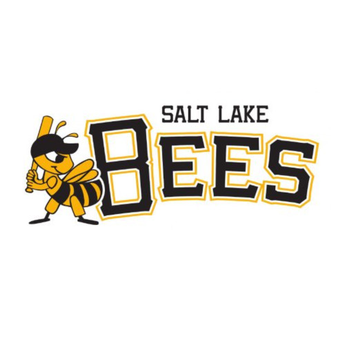 Salt Lake Bees Patch