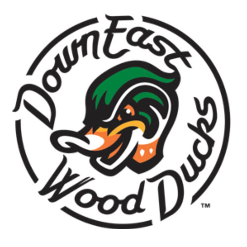 Down East Wood Ducks Patch
