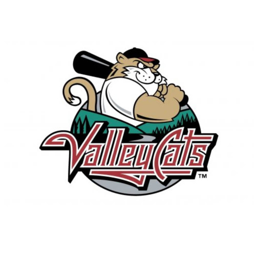 Tri-City Valleycats Patch