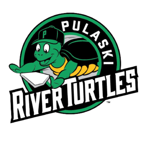 Pulaski River Turtles Patch