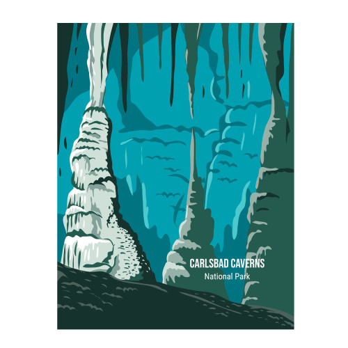 Carlsbad Caverns National Park Patch