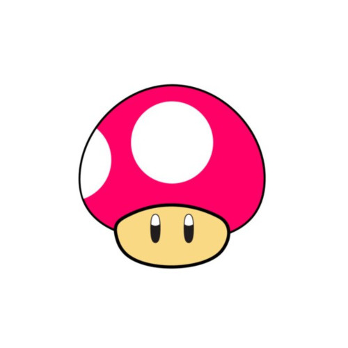 Super Mario Pink  Mushroom Patch