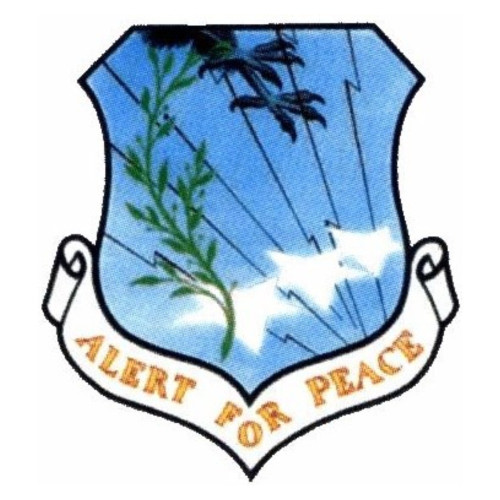 3974th Combat Support Group Patch