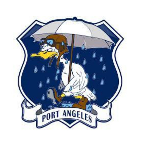 US Coast Guard Sector Field Office Port Angeles Patch