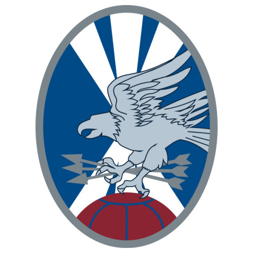 460th Operations Support Squadron, US Space Force Patch