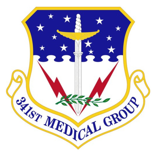 341st Medical Group Patch