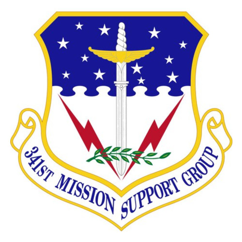 341st Mission Support Group Patch