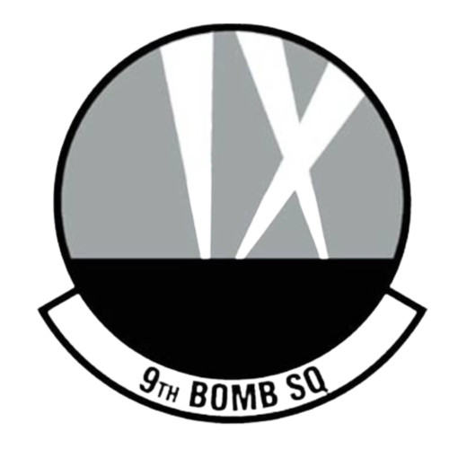 9th Bomb Squadron Patch