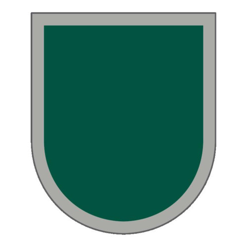 1st Special Forces Command (Beret Flash and Background Trimming), US Army Patch