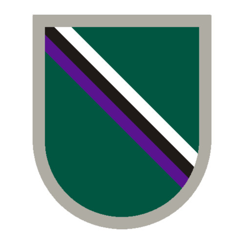 Special Forces Personnel in non Special Forces units (Beret Flash), US Army Patch