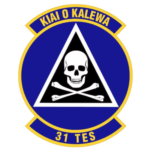 31st Test and Evaluation Squadron Patch